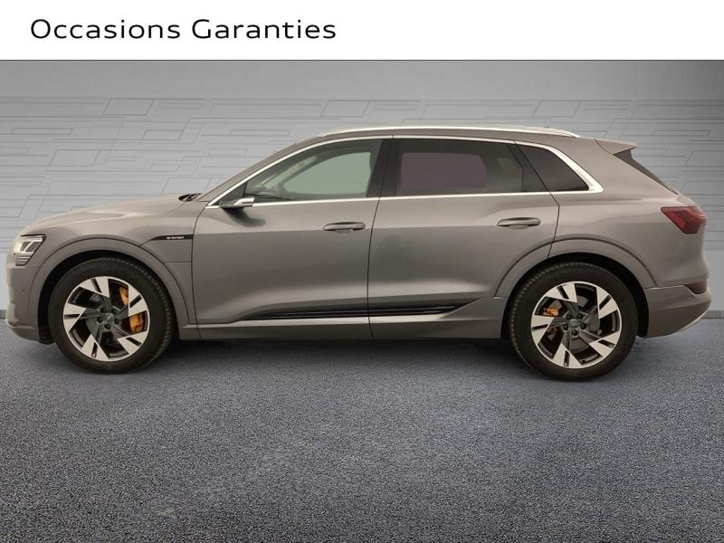 Voitures occasions Audi E-TRON Avus Extended Nice