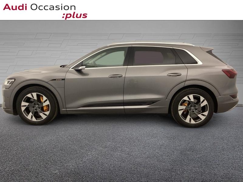 Voitures occasions Audi E-TRON Avus Extended Nice