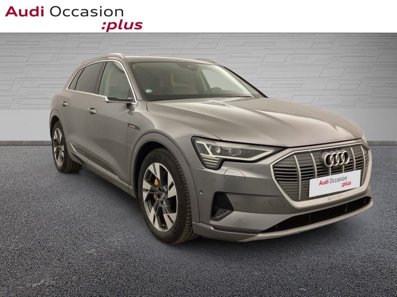 Voitures occasions Audi E-TRON Avus Extended Nice
