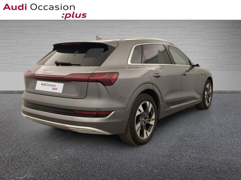 Voitures occasions Audi E-TRON Avus Extended Nice