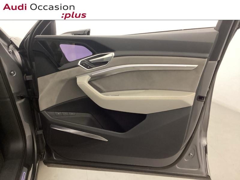 Voitures occasions Audi E-TRON Avus Extended Nice