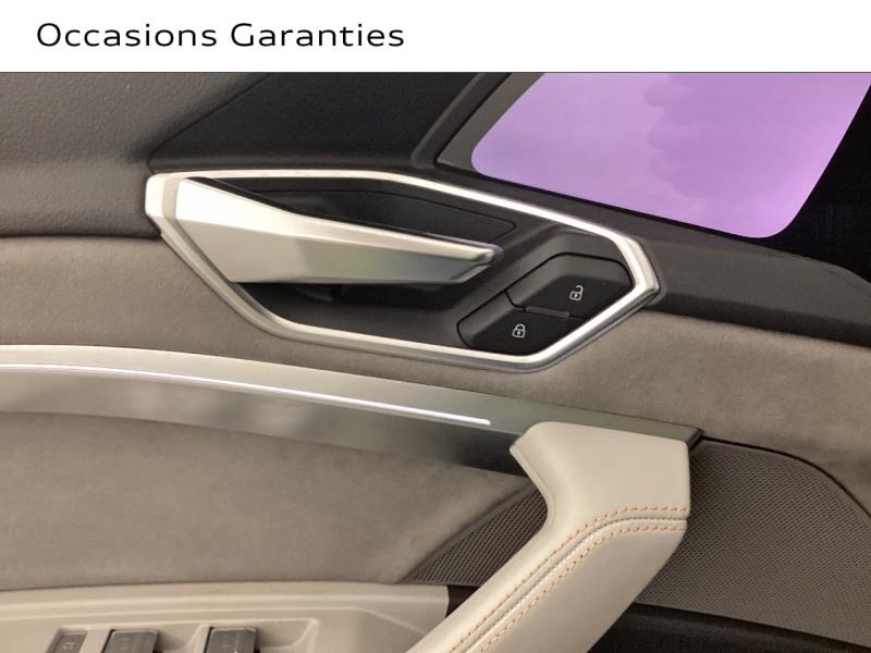 Voitures occasions Audi E-TRON Avus Extended Nice