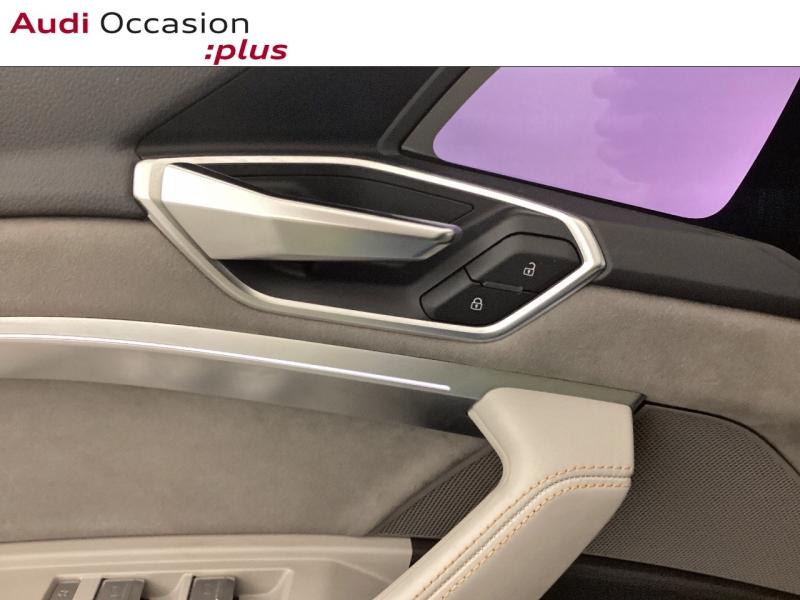 Voitures occasions Audi E-TRON Avus Extended Nice