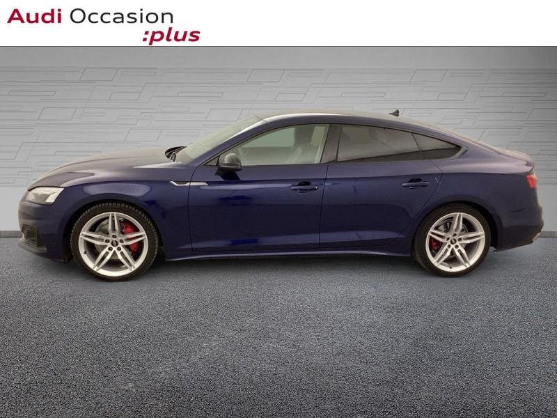 Voitures occasions Audi A5 Sportback Avus Nice