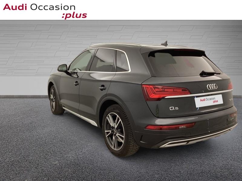 Voitures occasions Audi Q5 Avus Nice