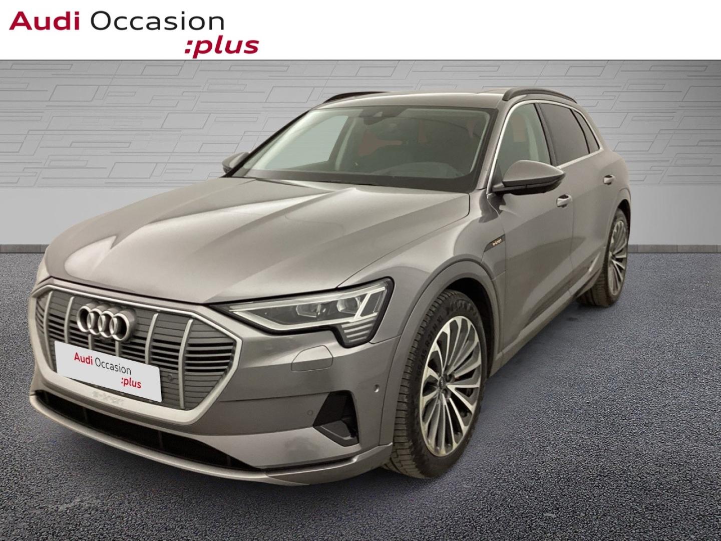 Voitures occasions Audi E-TRON Avus Extended Nice