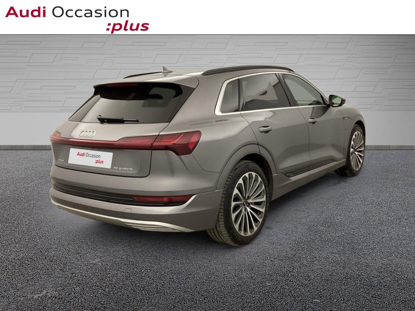 Voitures occasions Audi E-TRON Avus Extended Nice