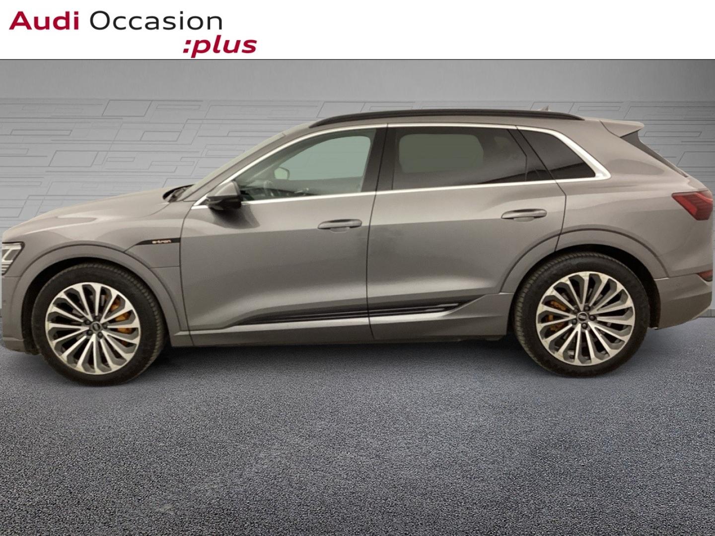 Voitures occasions Audi E-TRON Avus Extended Nice