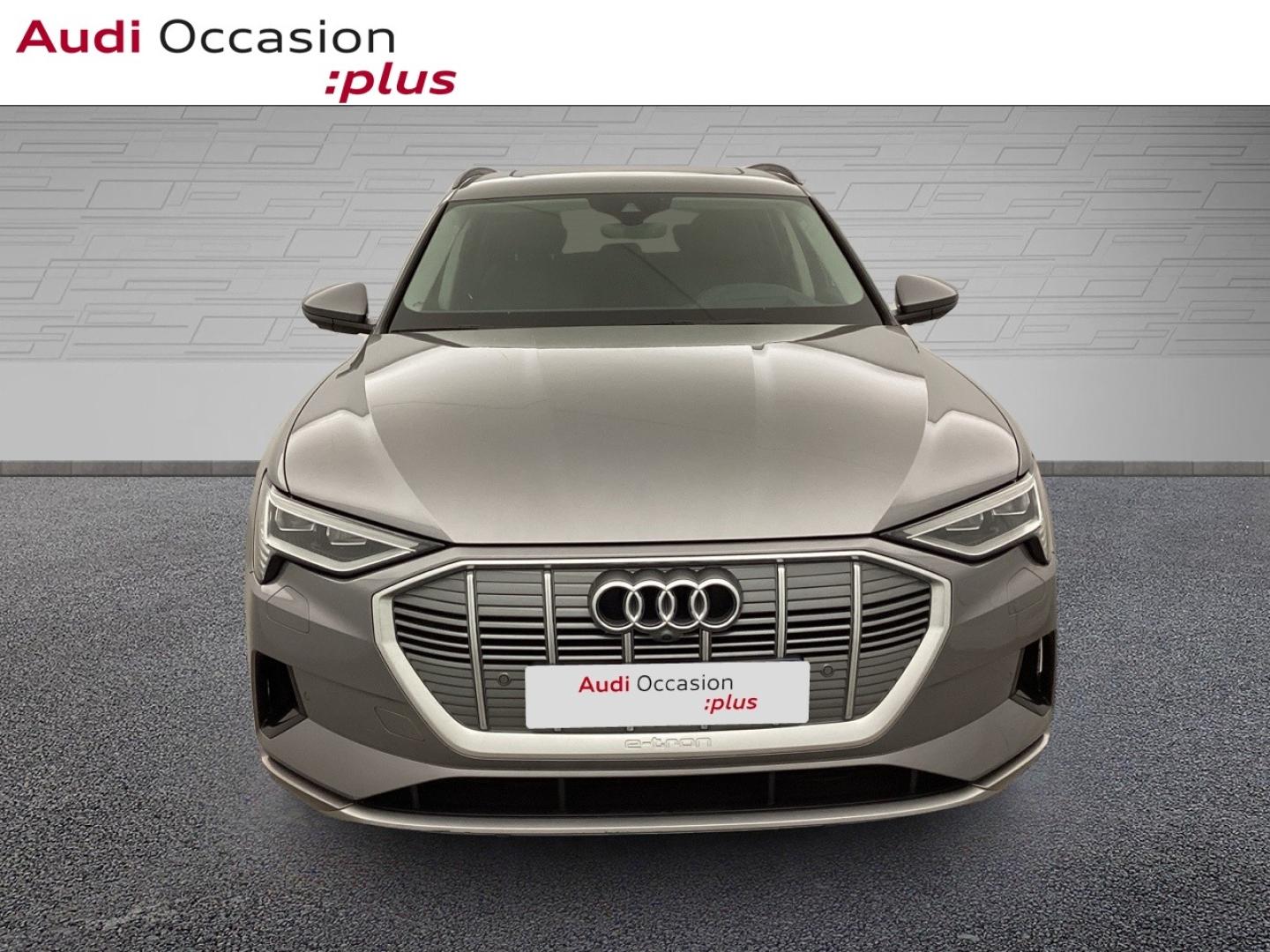 Voitures occasions Audi E-TRON Avus Extended Nice