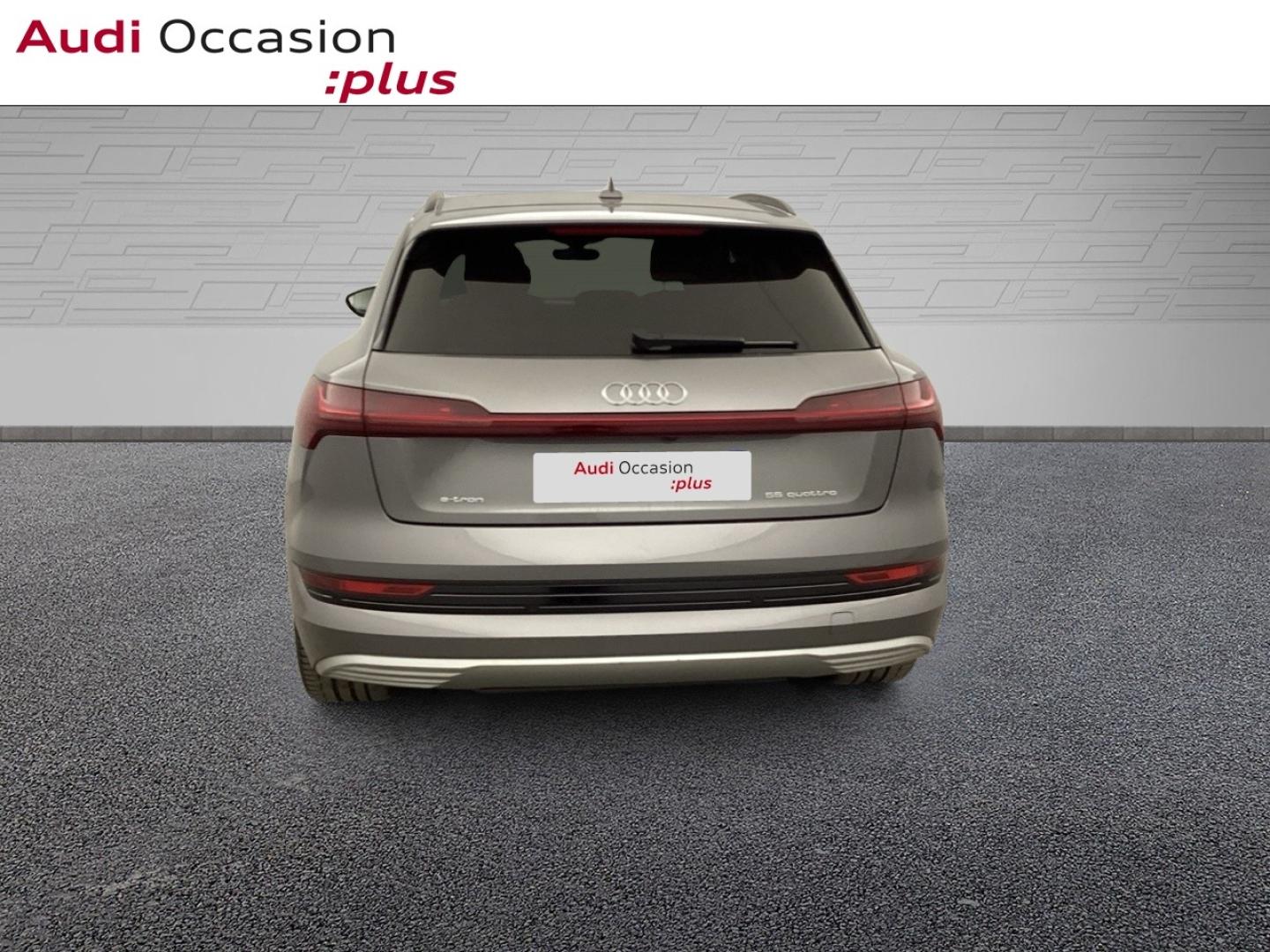 Voitures occasions Audi E-TRON Avus Extended Nice