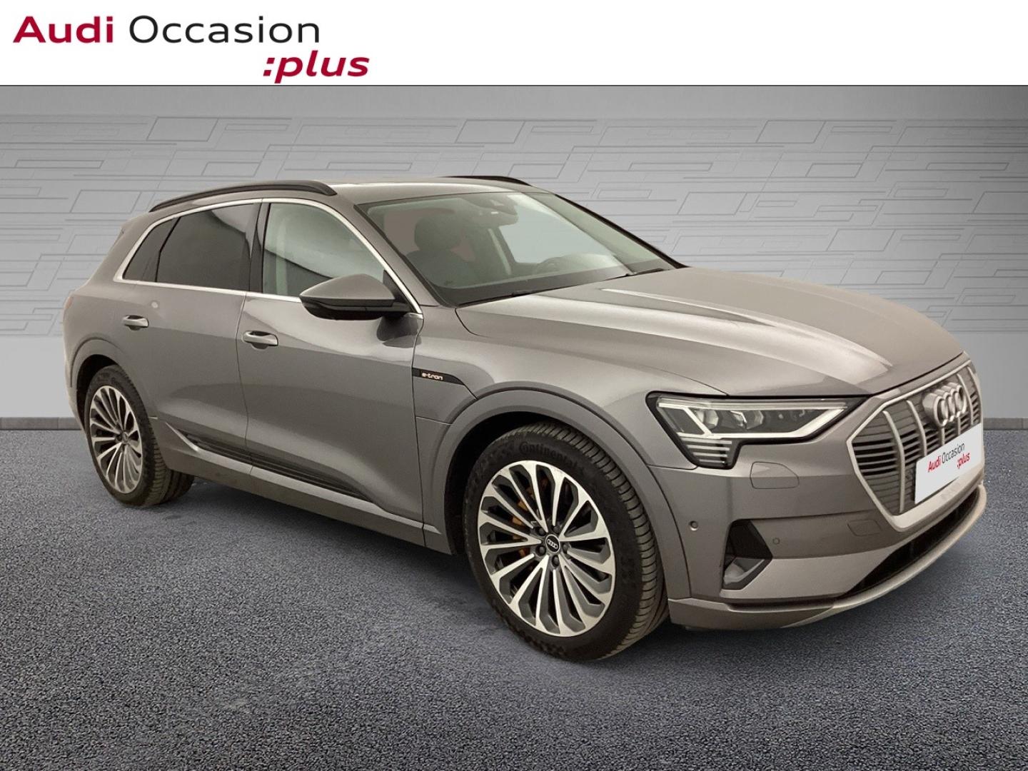 Voitures occasions Audi E-TRON Avus Extended Nice