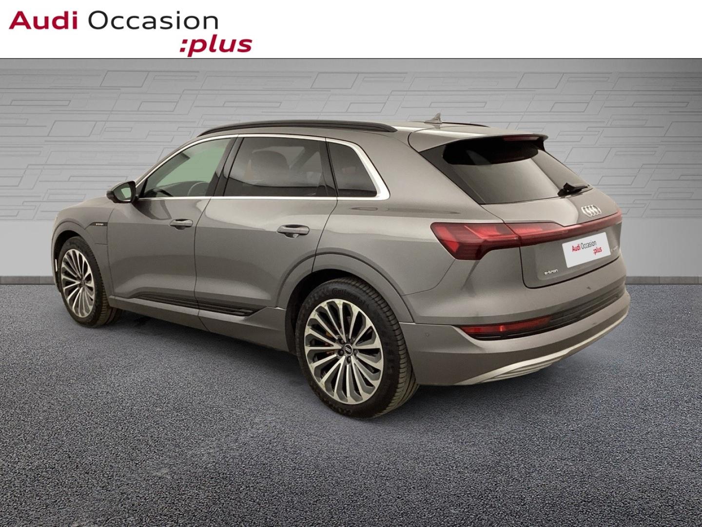 Voitures occasions Audi E-TRON Avus Extended Nice