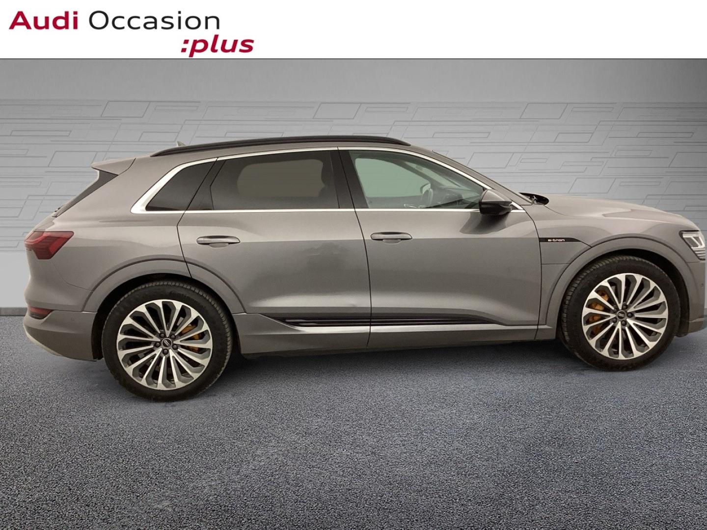 Voitures occasions Audi E-TRON Avus Extended Nice