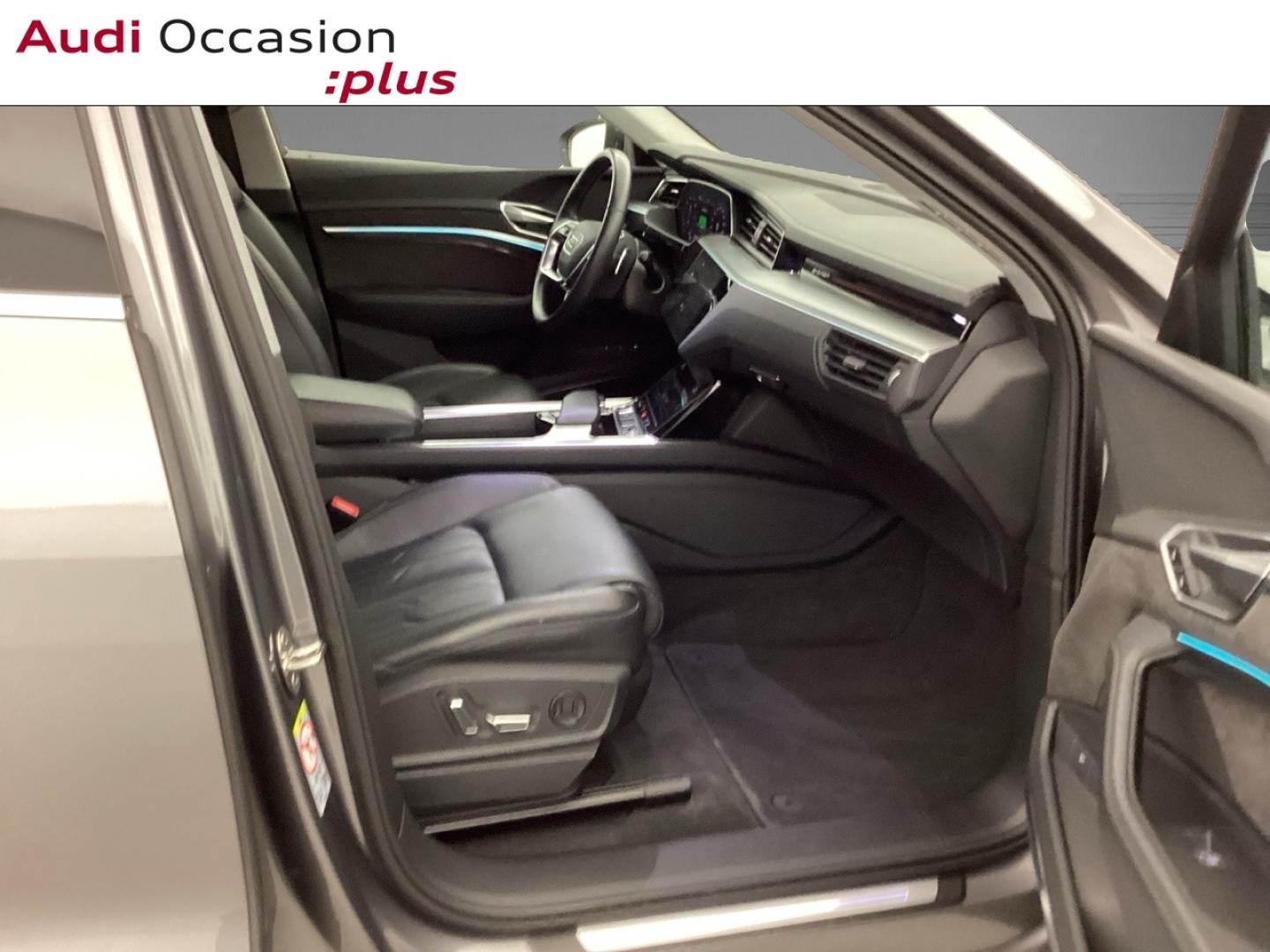 Voitures occasions Audi E-TRON Avus Extended Nice