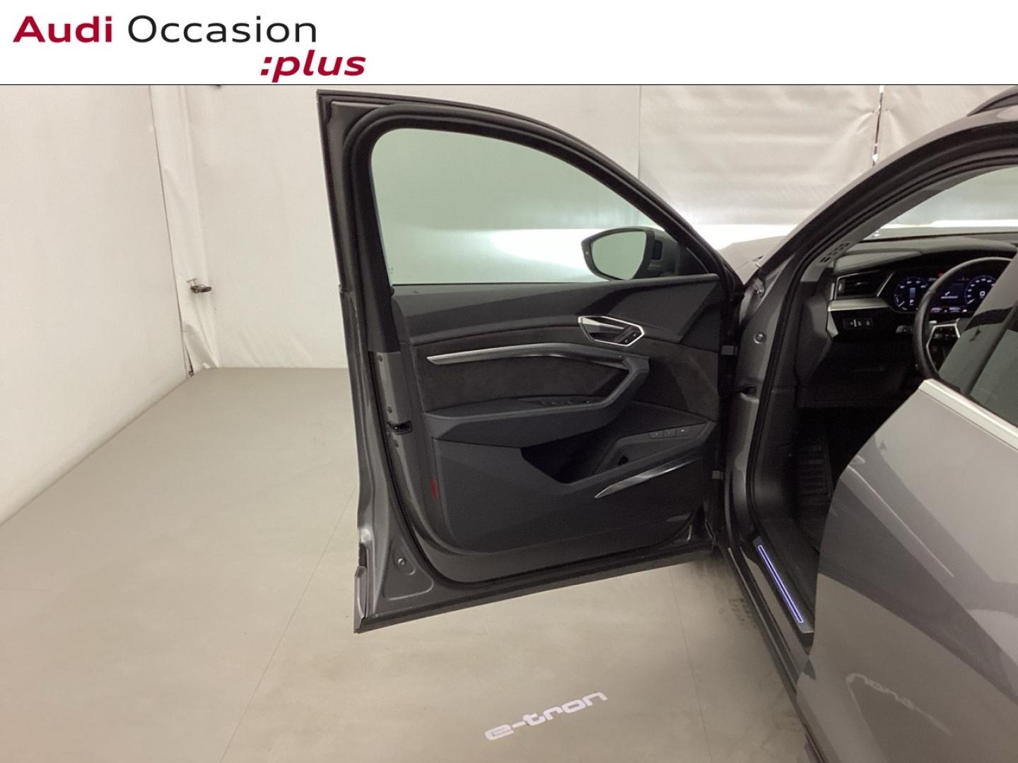 Voitures occasions Audi E-TRON Avus Extended Nice