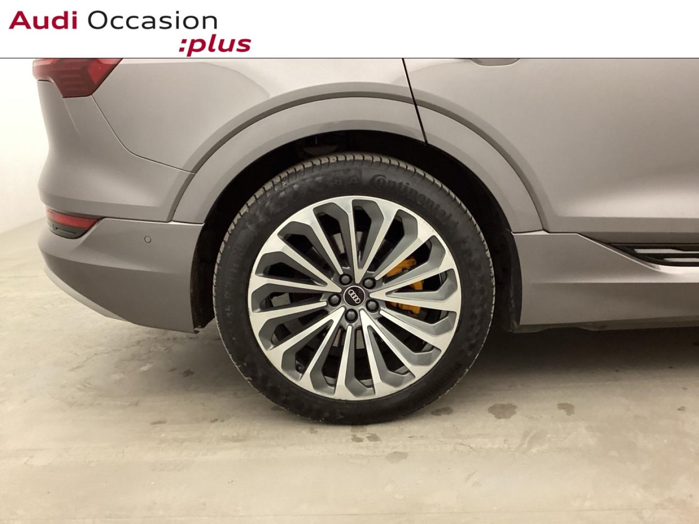 Voitures occasions Audi E-TRON Avus Extended Nice