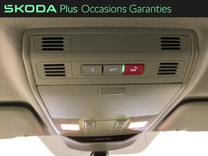 Voitures occasions ŠKODA KAMIQ Young Edition Nice