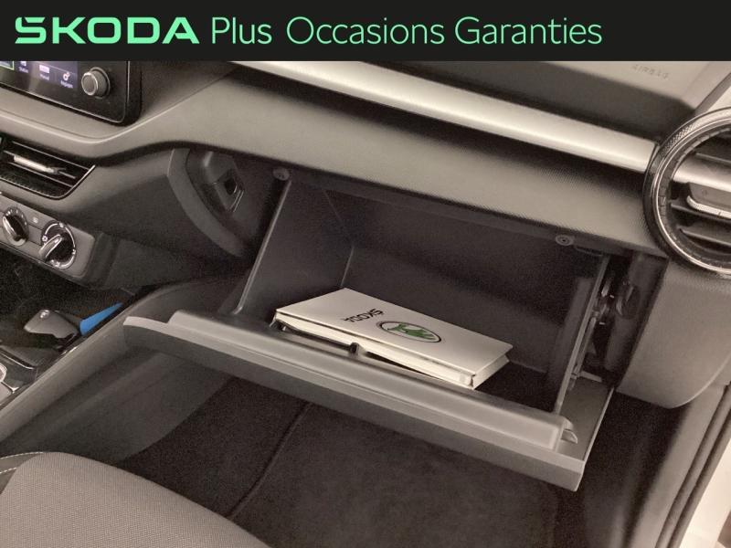 Voitures occasions ŠKODA FABIA Ambition Nice