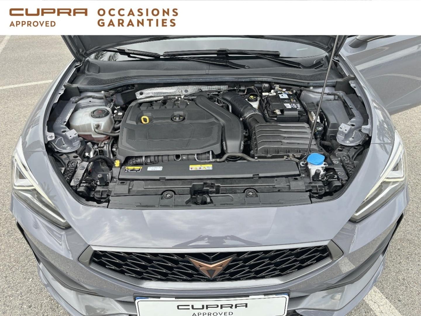 Voitures occasions CUPRA LEON V Nice