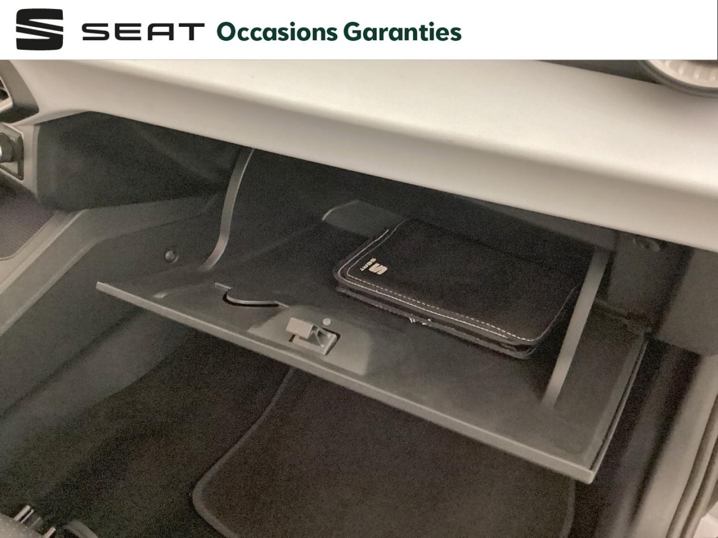 Voitures occasions SEAT IBIZA Copa Nice