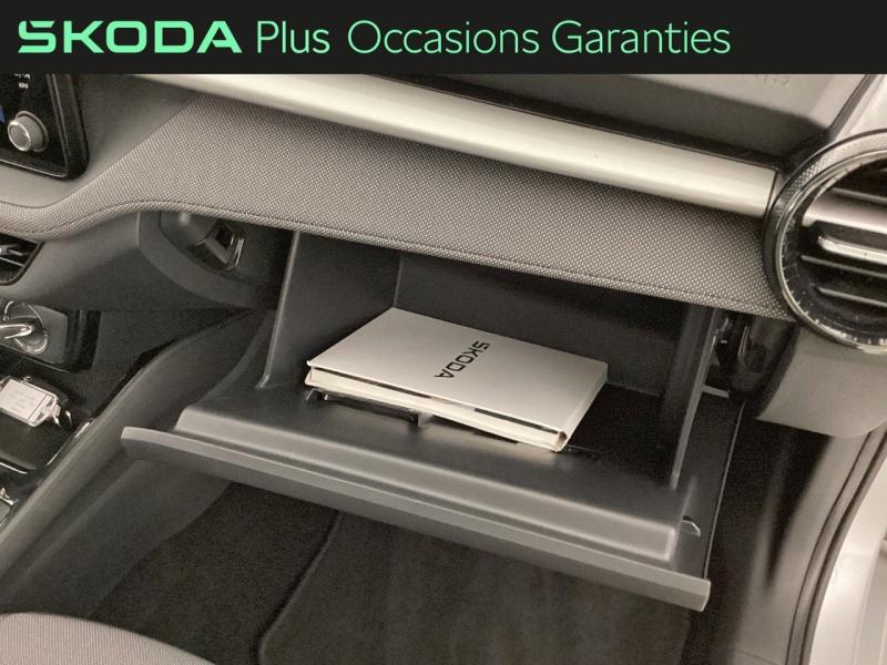 Voitures occasions ŠKODA FABIA Selection Nice