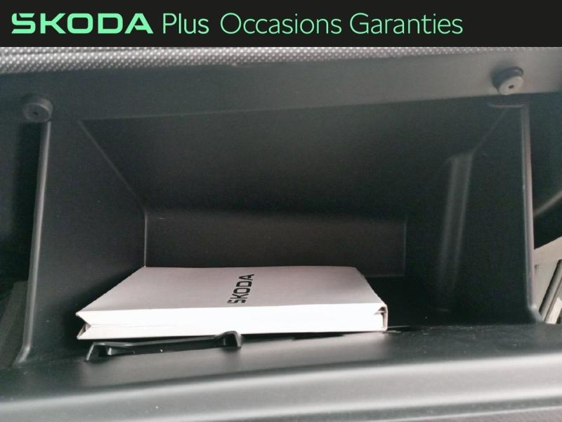 Voitures occasions ŠKODA FABIA Selection Nice