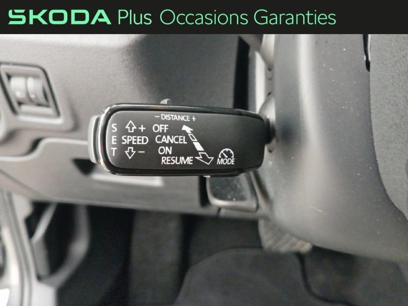 Voitures occasions ŠKODA FABIA Selection Nice