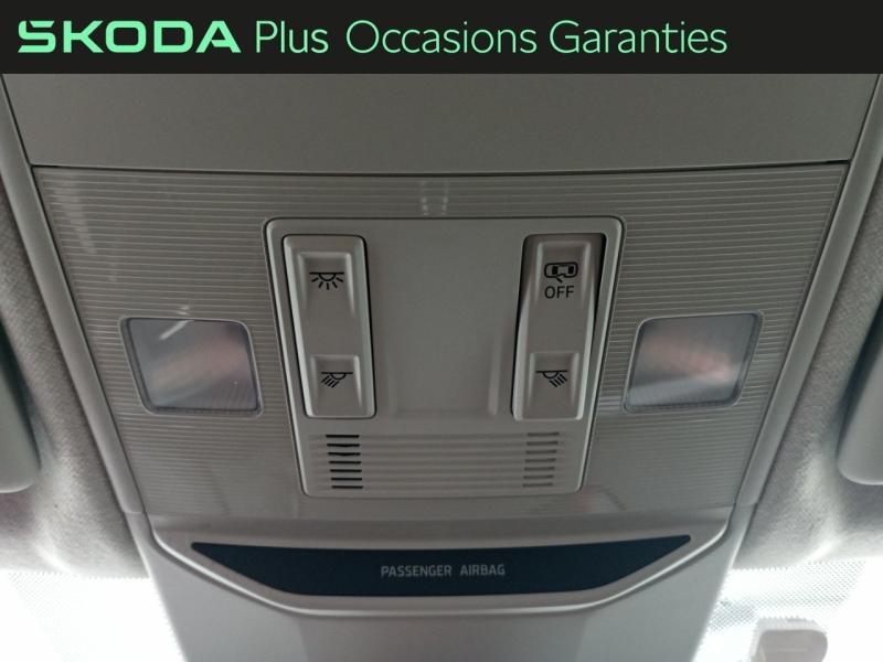 Voitures occasions ŠKODA FABIA Selection Nice