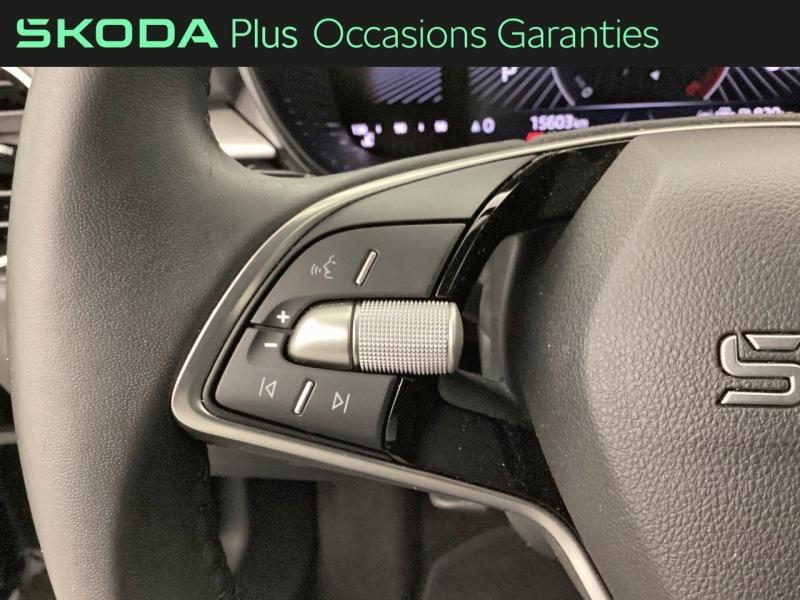 Voitures occasions ŠKODA FABIA Selection Nice