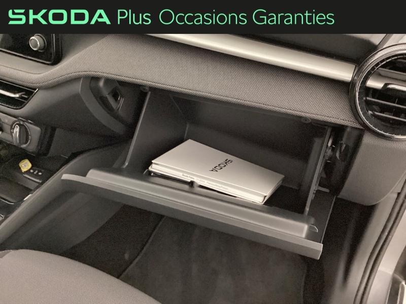 Voitures occasions ŠKODA FABIA Selection Nice