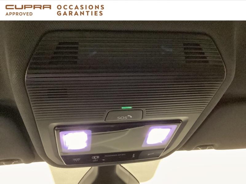 Voitures occasions CUPRA BORN V Nice