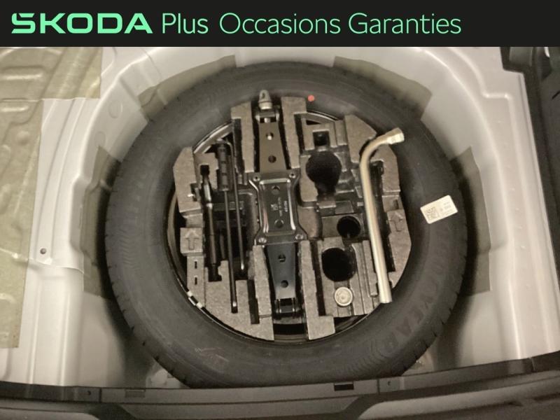 Voitures occasions ŠKODA FABIA Selection Nice