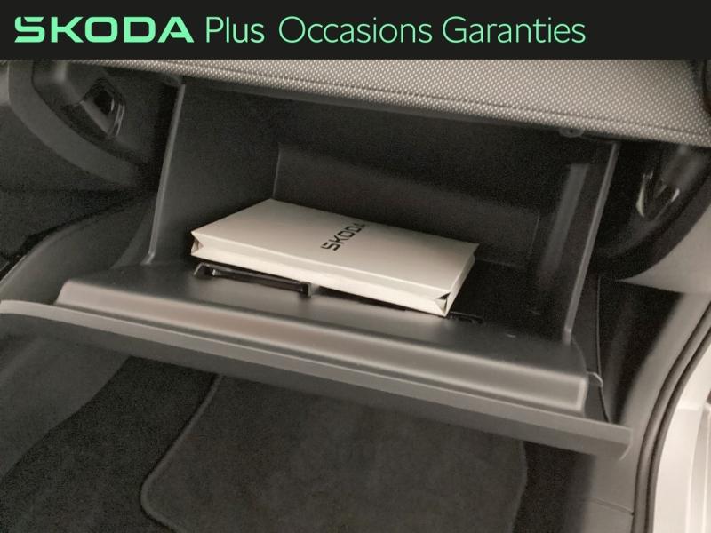 Voitures occasions ŠKODA FABIA Selection Nice