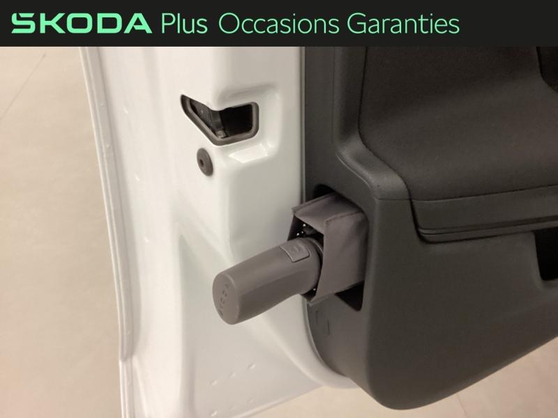 Voitures occasions ŠKODA FABIA Selection Nice