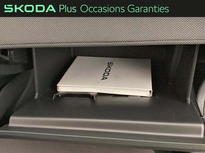 Voitures occasions ŠKODA FABIA Selection Nice