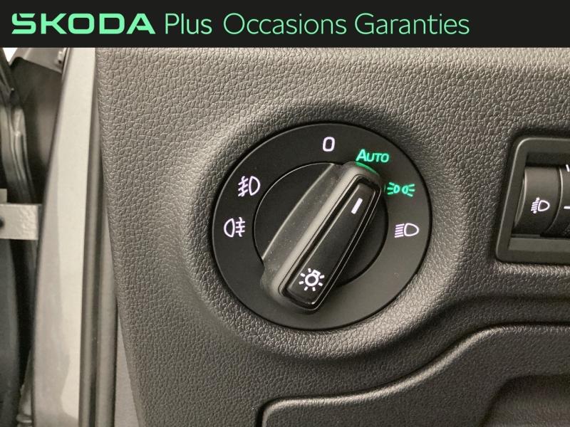 Voitures occasions ŠKODA FABIA Selection Nice