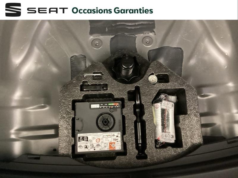 Voitures occasions SEAT Cupra  Nice