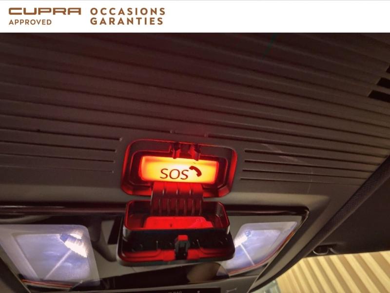 Voitures occasions CUPRA Terramar V Nice