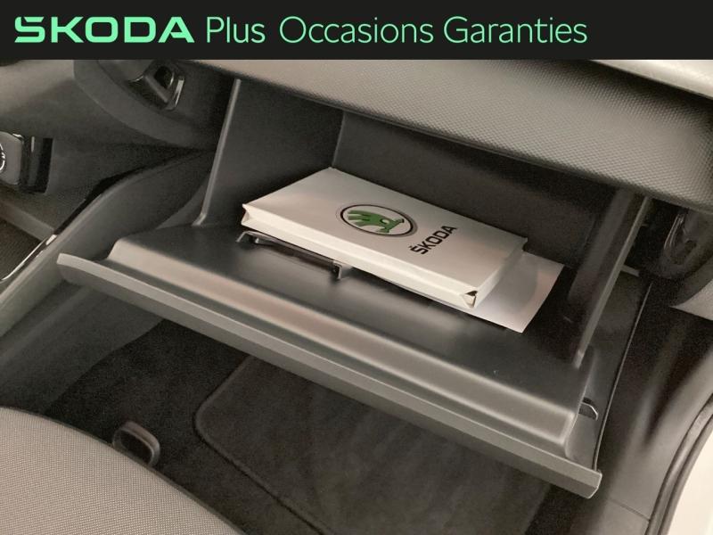 Voitures occasions ŠKODA FABIA Ambition Nice