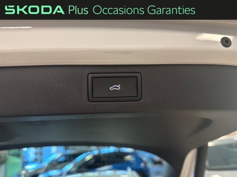 Voitures occasions ŠKODA KAMIQ Clever Edition Nice