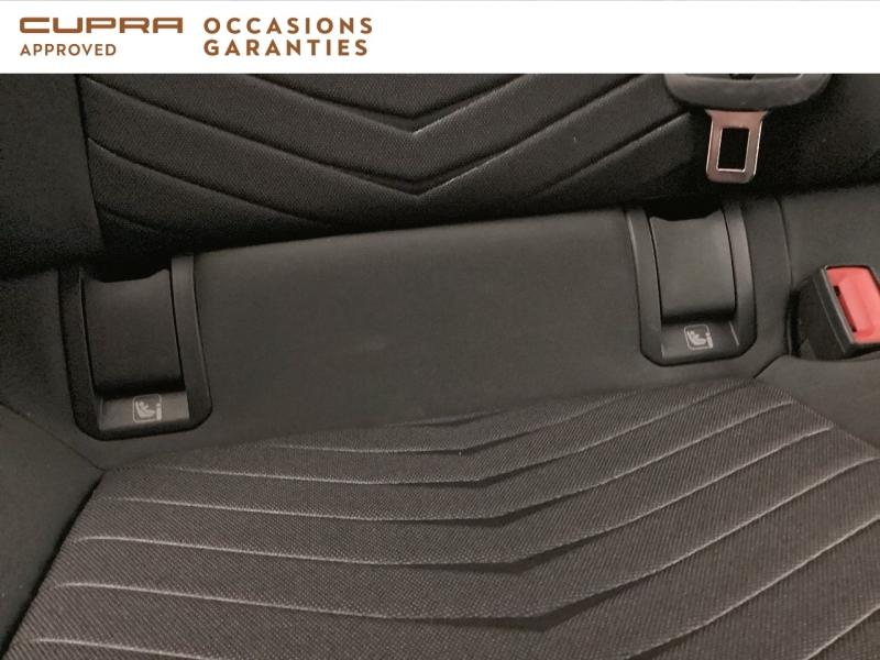 Voitures occasions CUPRA BORN V Nice