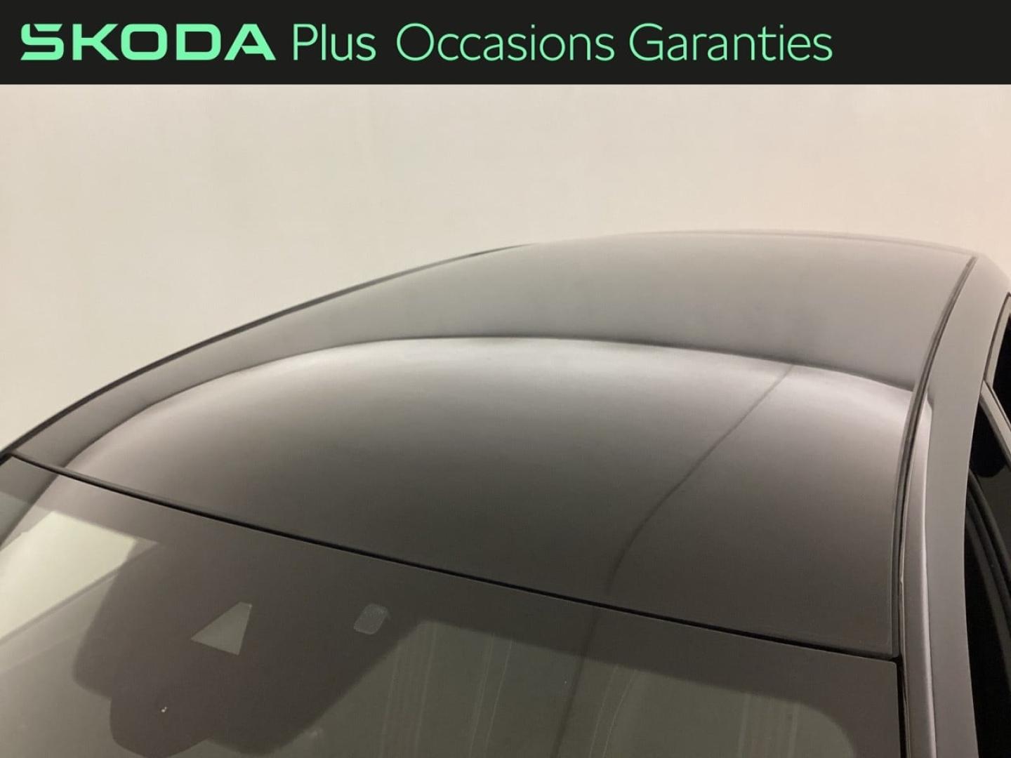 Voitures occasions ŠKODA FABIA Monte Carlo Nice