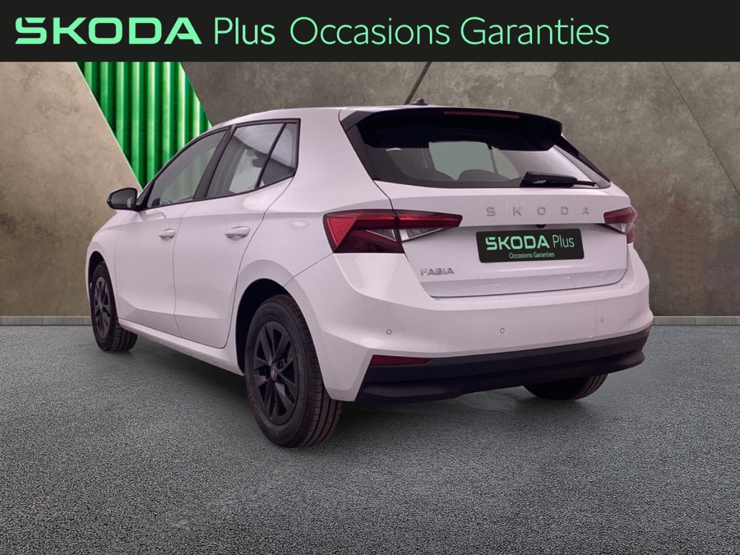 Voitures occasions ŠKODA FABIA Selection Nice