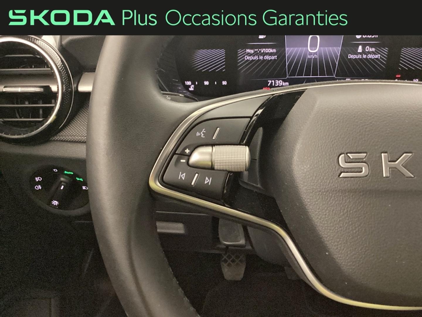 Voitures occasions ŠKODA FABIA Selection Nice