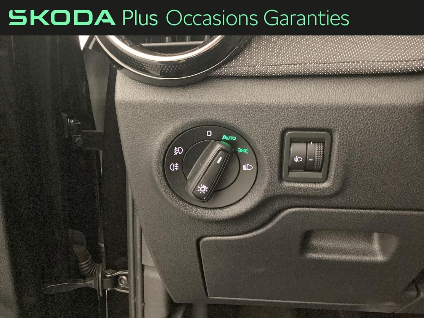 Voitures occasions ŠKODA FABIA Selection Nice