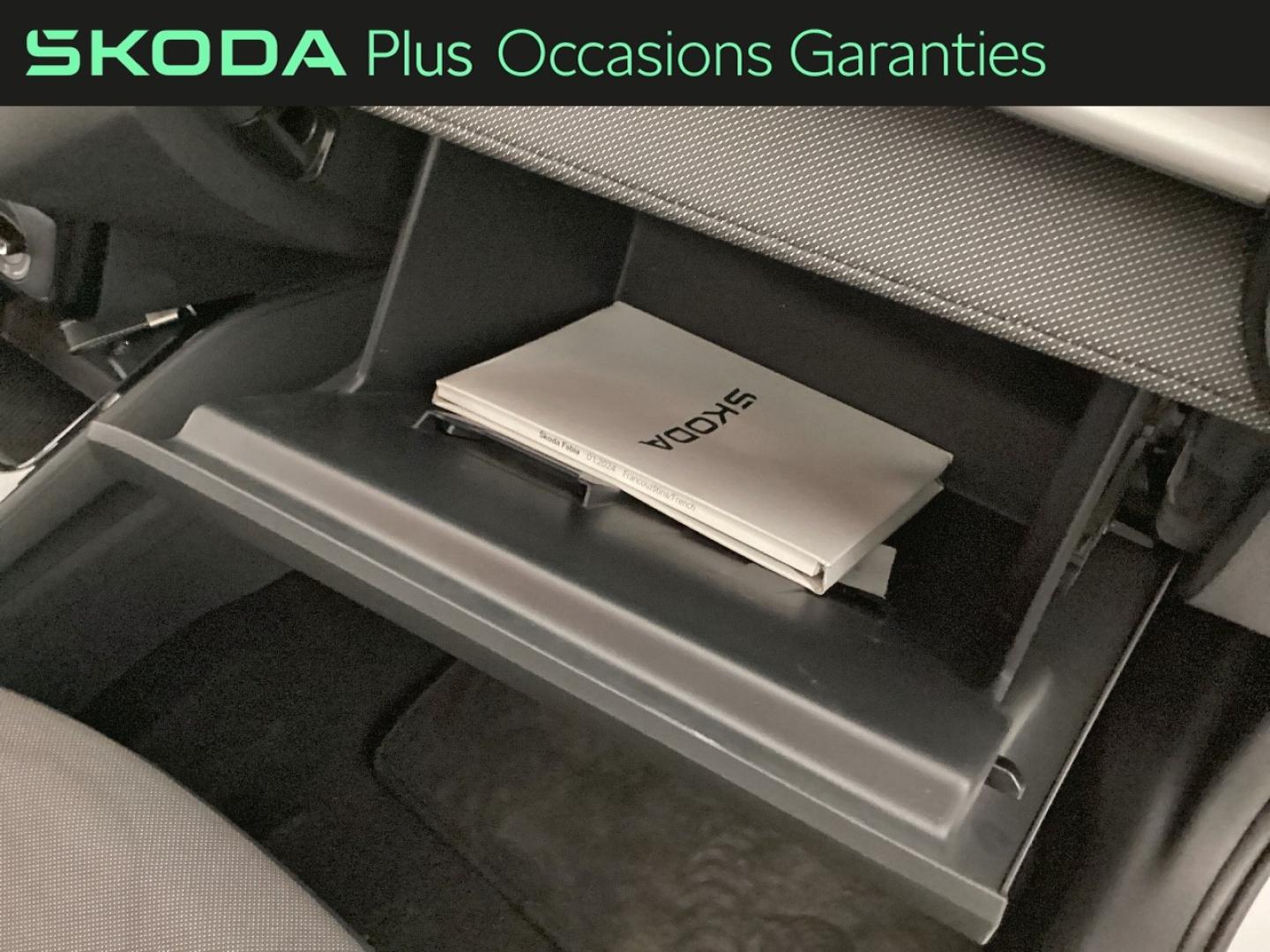 Voitures occasions ŠKODA FABIA Limited Edition Nice