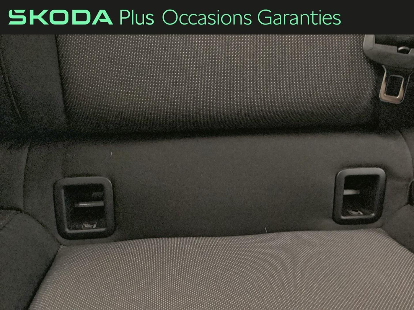 Voitures occasions ŠKODA FABIA Limited Edition Nice