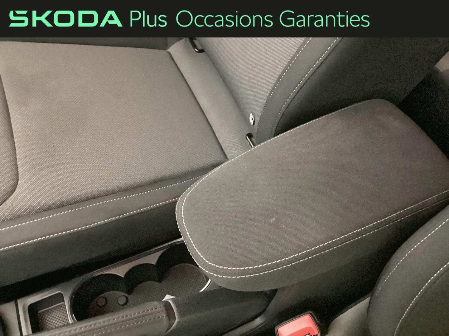 Voitures occasions ŠKODA FABIA Limited Edition Nice