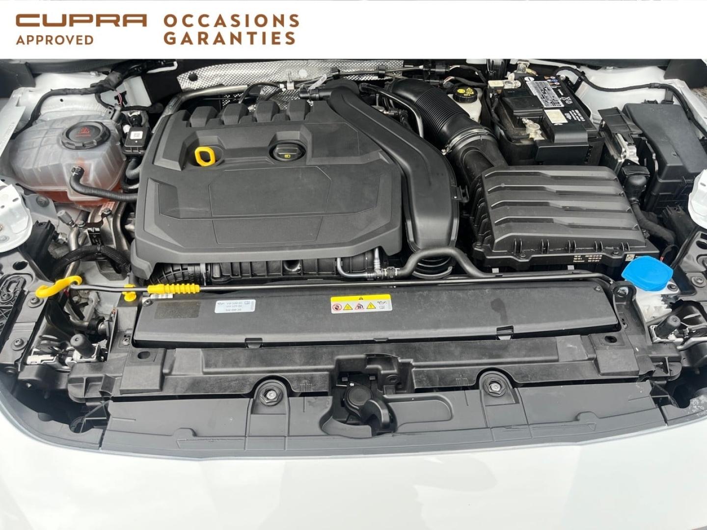 Voitures occasions CUPRA LEON V Nice
