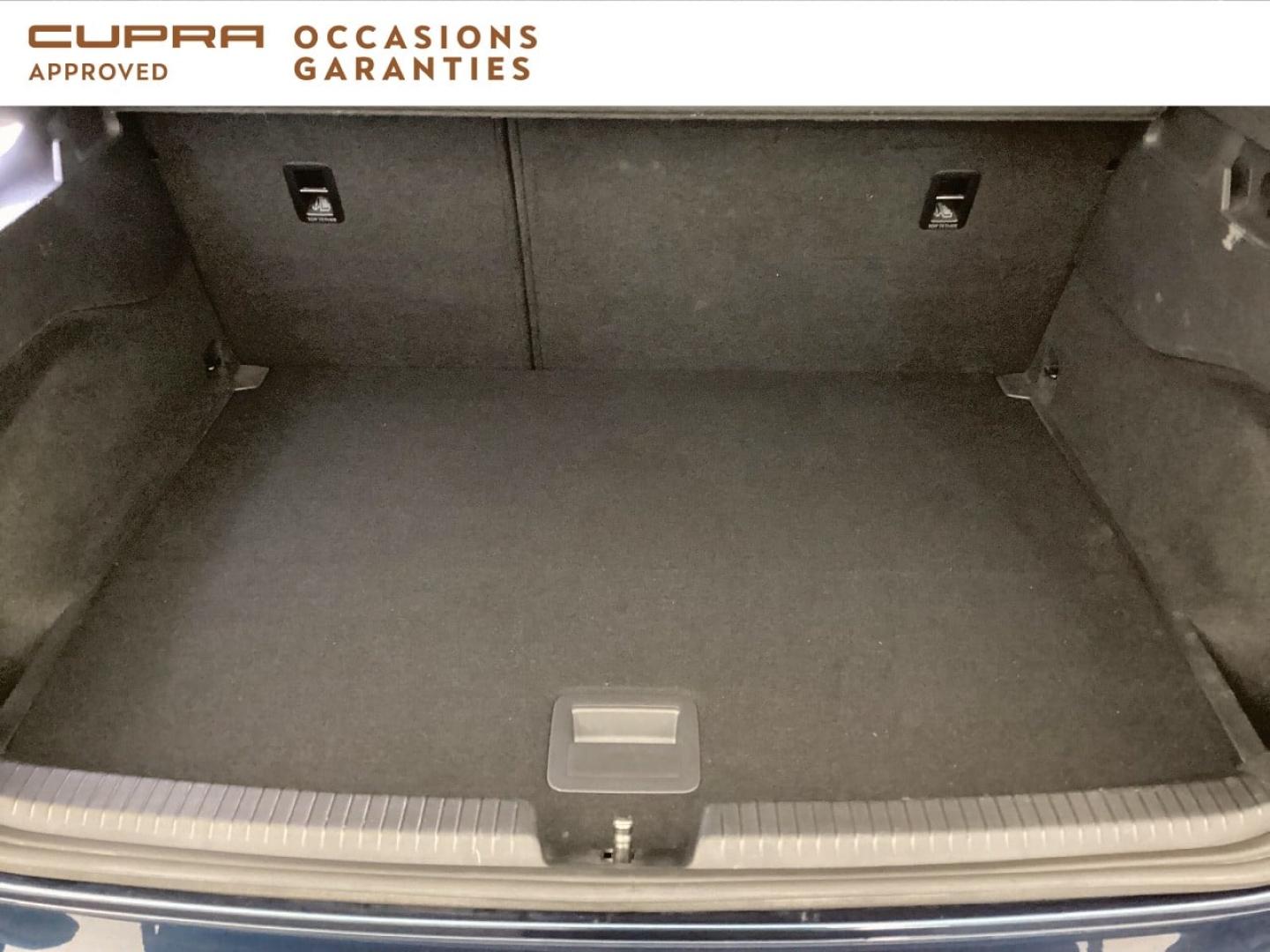 Voitures occasions CUPRA BORN VZ Nice